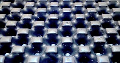 Maxidrain 40 Yeşil Çatı Drenaj Levhası